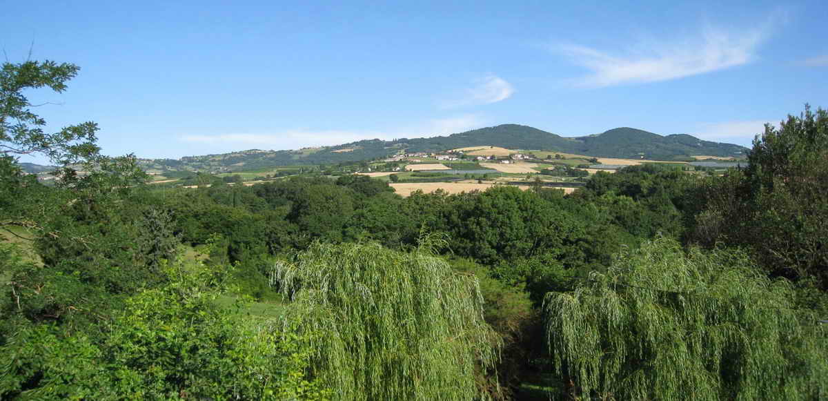 A la fois localisée en Rhône Alpes et répartie sur la France